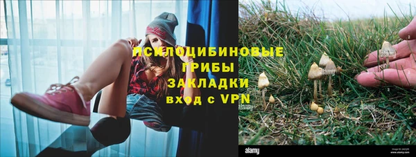 стафф Нягань