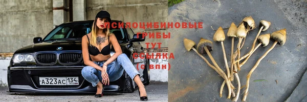 стафф Нягань