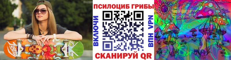 Псилоцибиновые грибы прущие грибы  Родники 